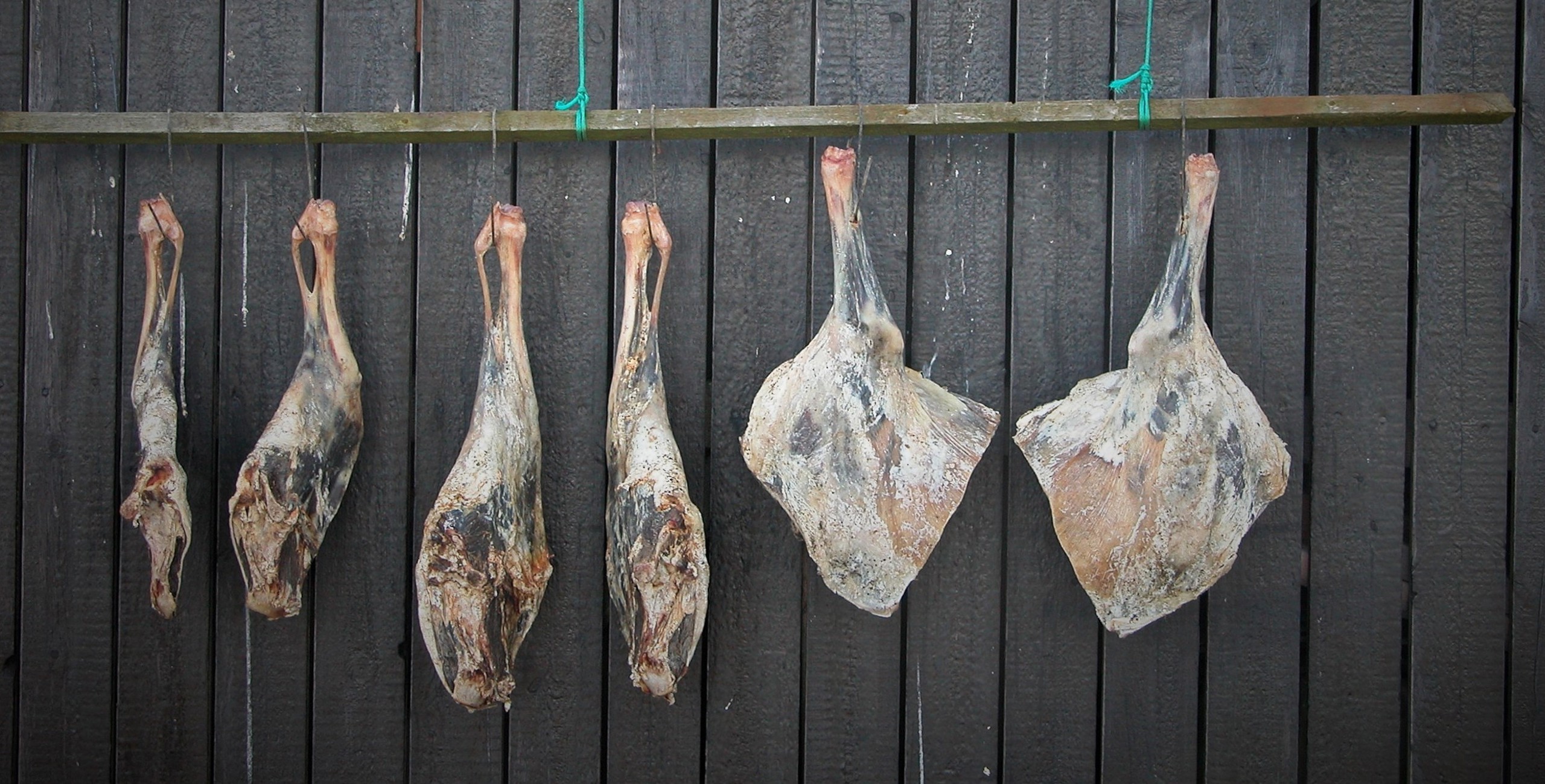 Faroese Gastronomy